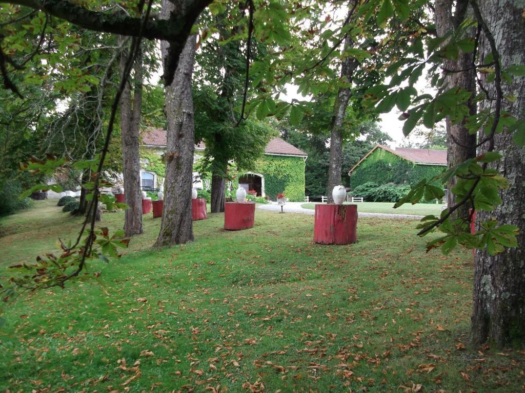 Chateau-Hotel De Nieuil Buitenkant foto